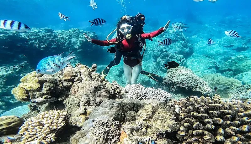 SCUBA Diving With Instructor in Cham Island Waters