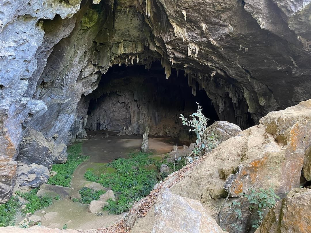 Hang En Cave, Phong Nha - Photo source: Tripadvisor 