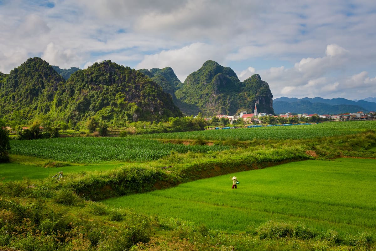 Rice fields and limestone karst on the road through central Vietnam