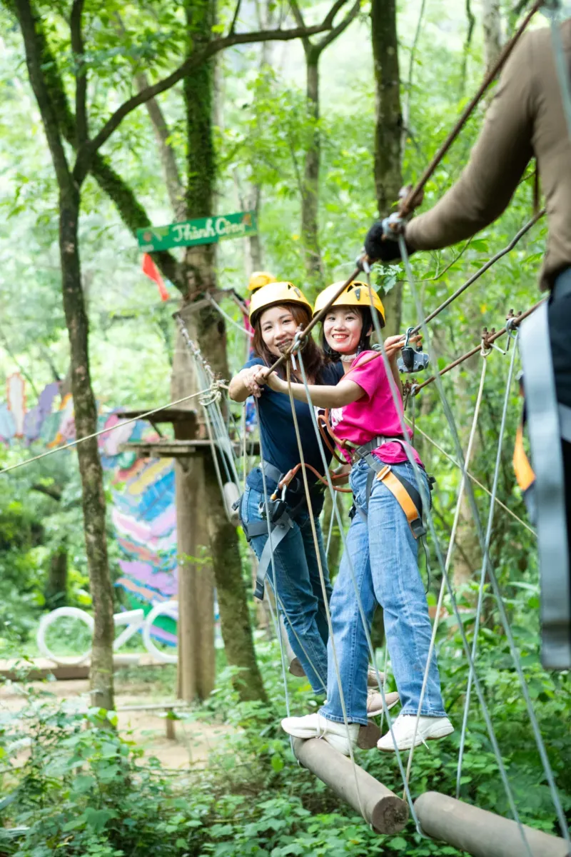 khách tham gia trò chơi trên cây