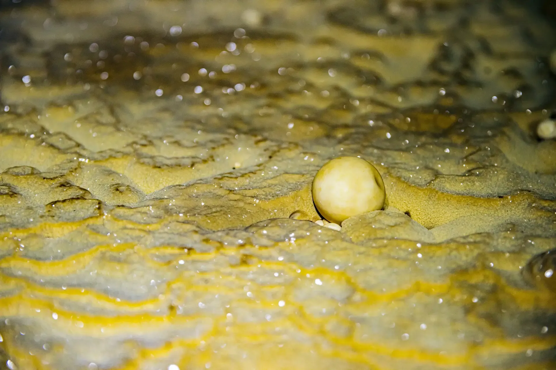 Ngọc động tròn xoe, nhẵn bóng trong hang Hùng