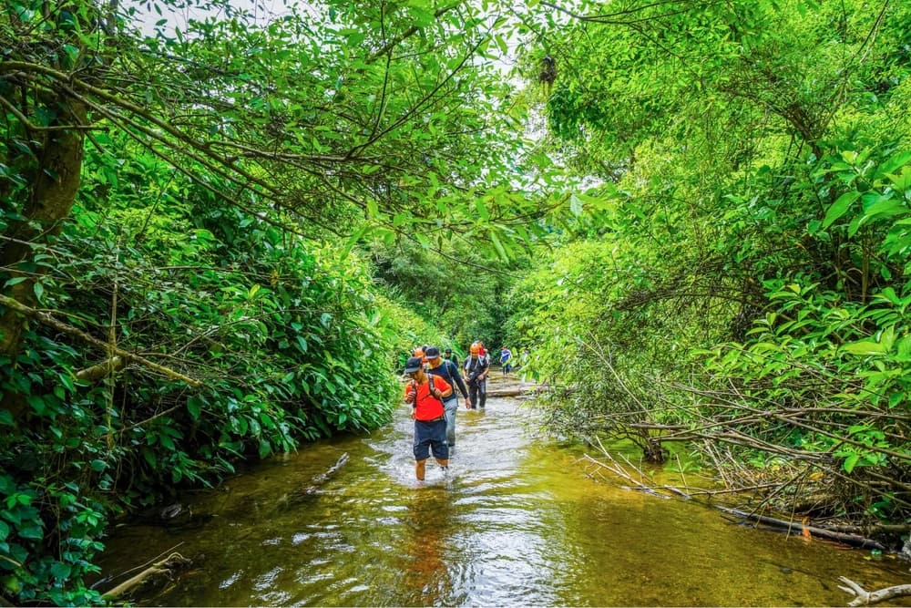 Trekkers wading a shallow stream through dense forest where land leeches live