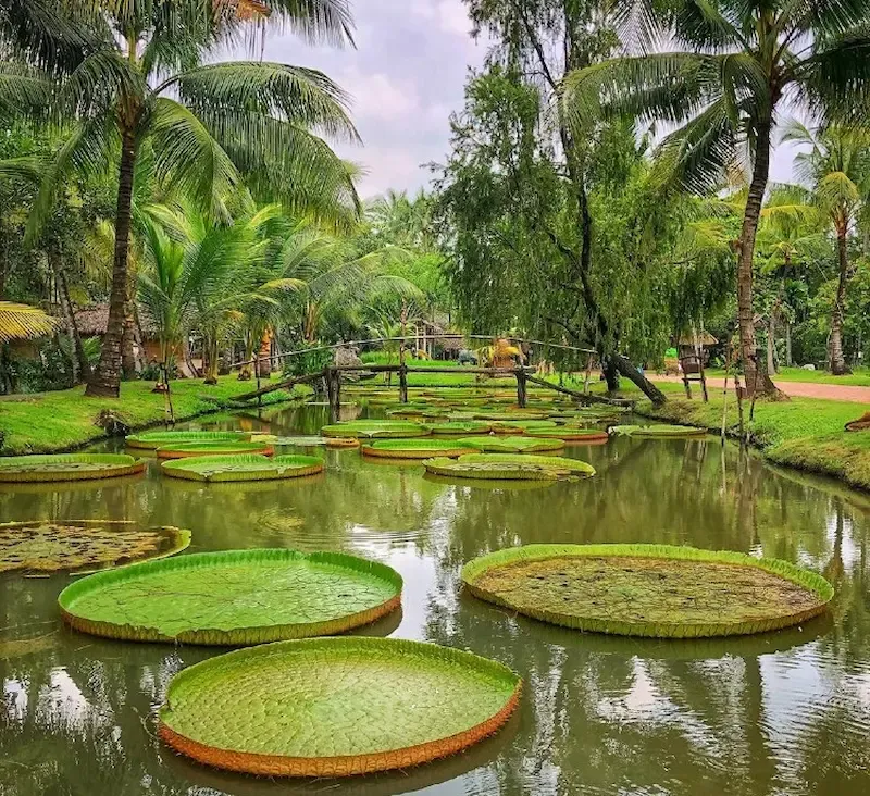 Thanh Da Island, Saigon