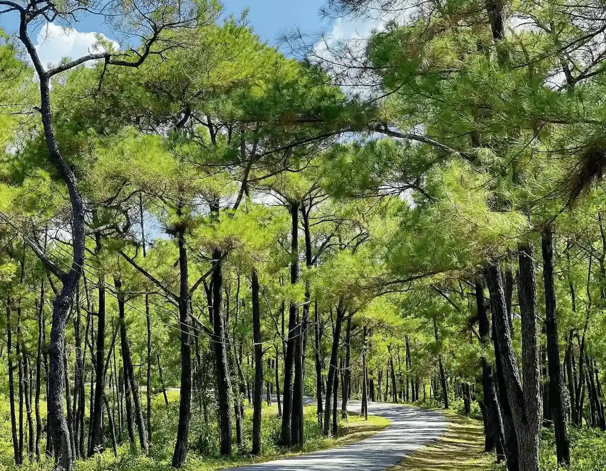 doi thien an hue kinh nghiem kham pha da lat thu nho xu co do