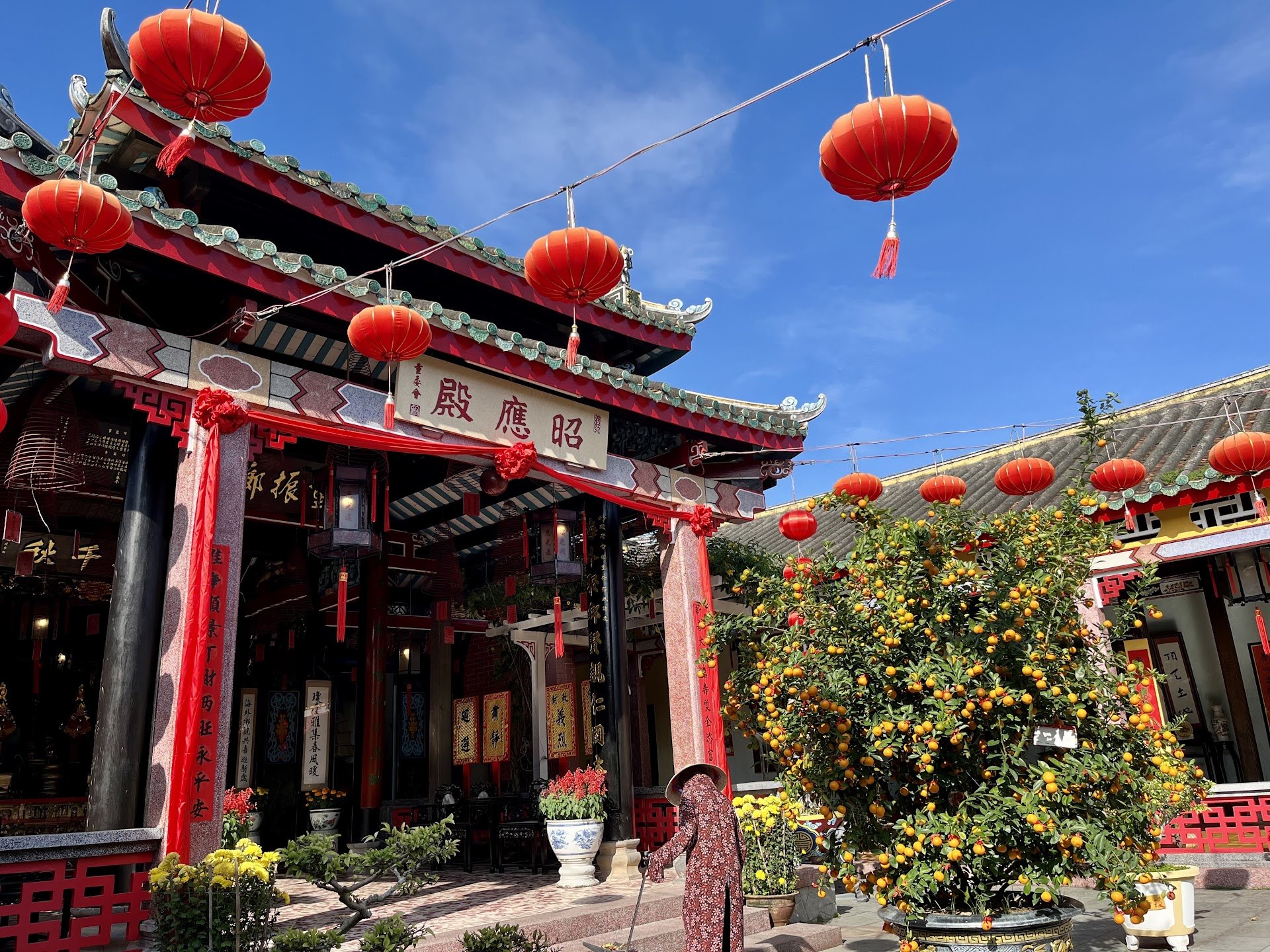 Red lanterns and a kumquat tree outside an assembly hall in Hoi An