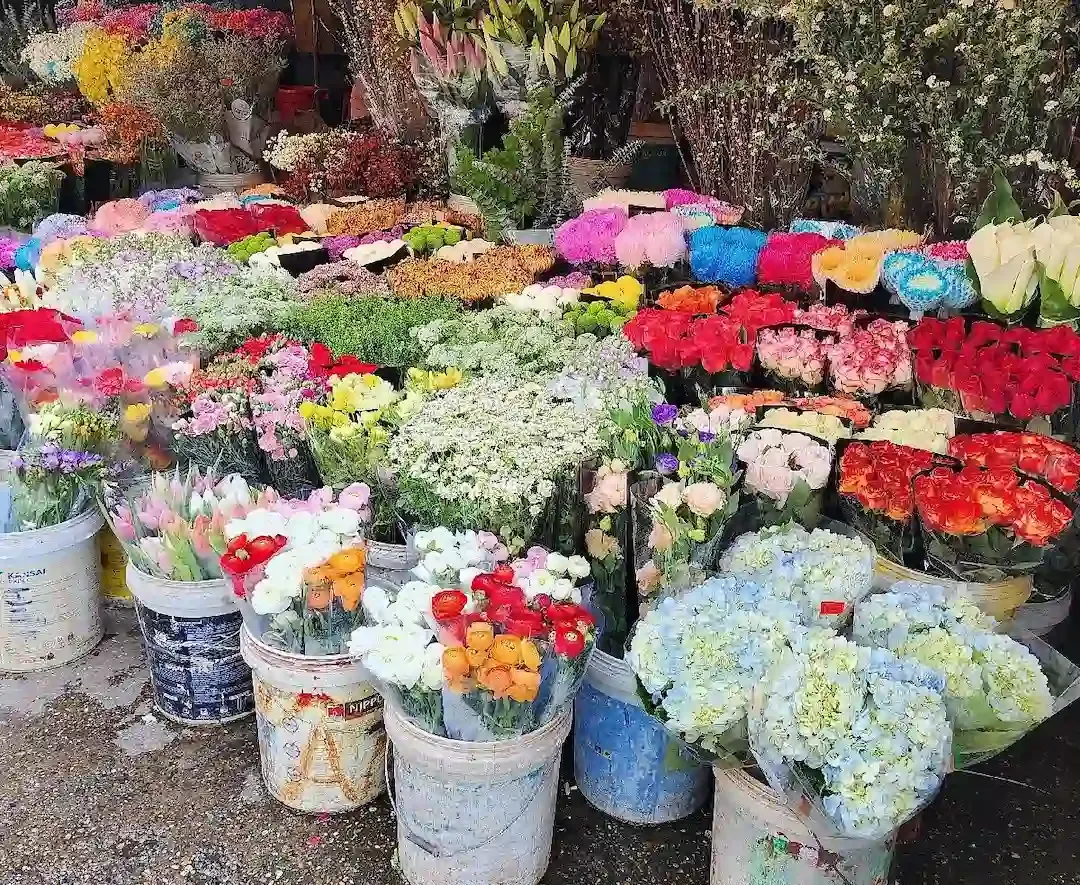 Quang Ba Flower Market