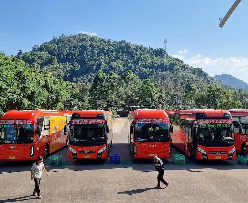 Futa Bus Lines Comapny Fleet