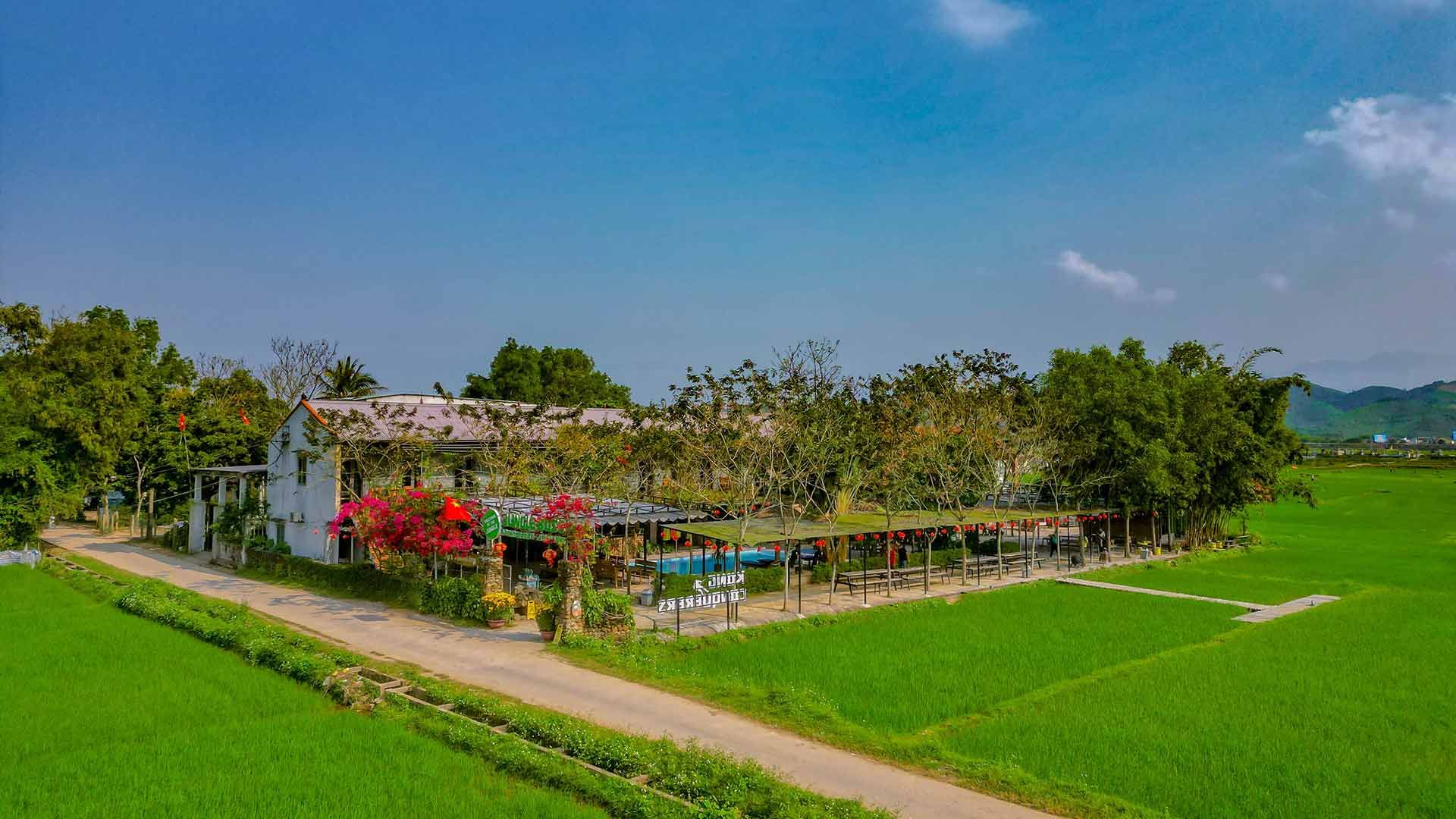Jungle Boss Homestay in Phong Nha with a rice field view