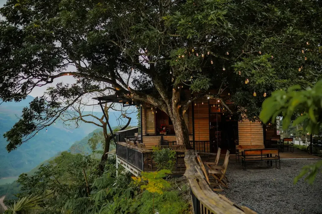 Một góc lãng mạn quán cà phê khe sanh homi