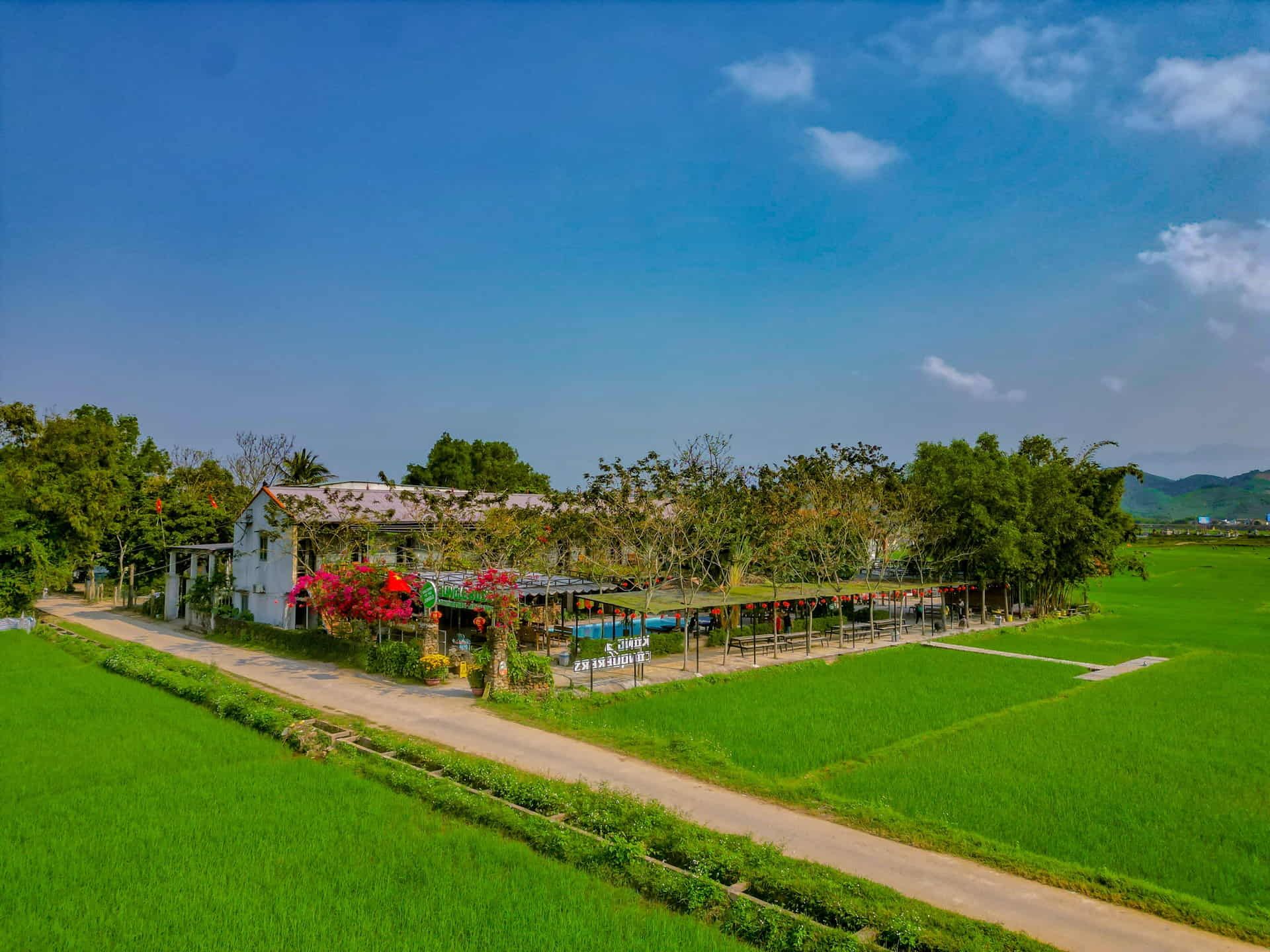 Jungle Boss's headquarters is located amidst lush green nature