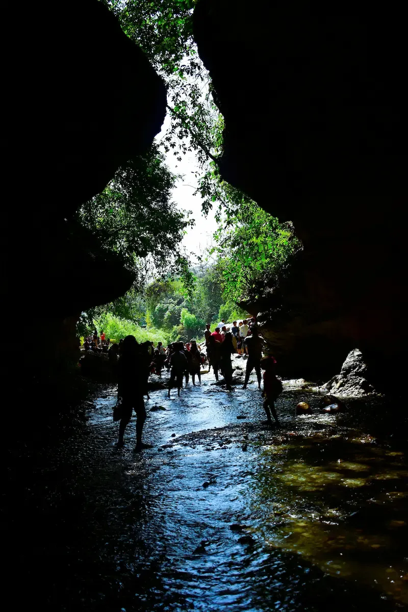 Phong Nha Cave Tour With Swimming Inside Cave Organised by Jungle Boss 21.16.11