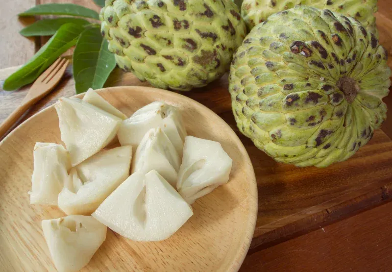 Custard Apple or Males Caue Gives off the Aroma of Vanilla