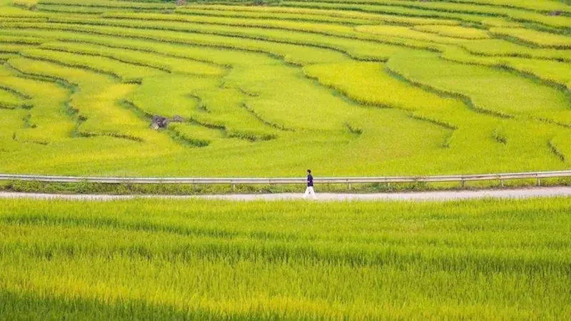pu luong nature reserve vietnams hidden mountain gem