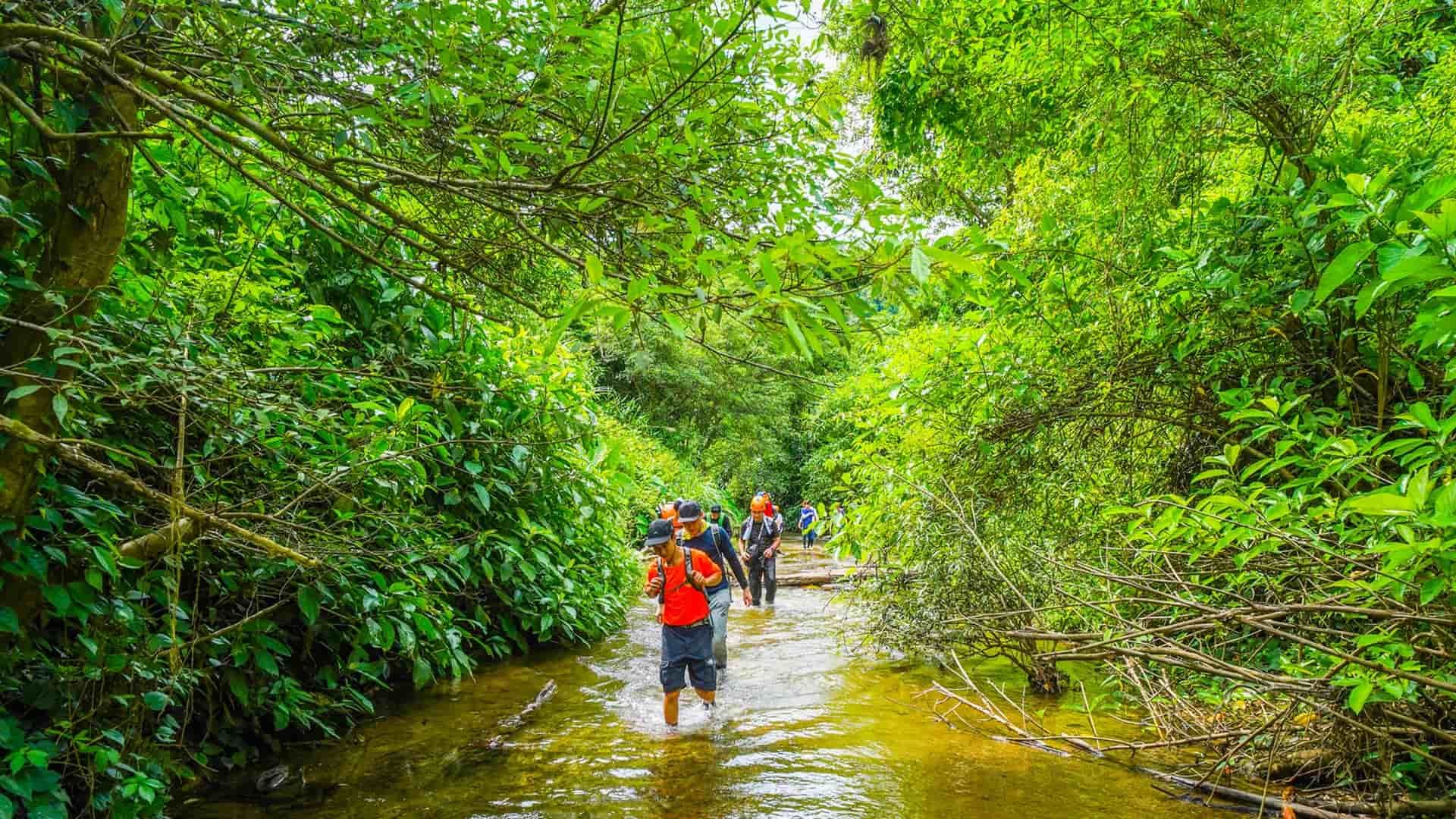 Du khách trekking khi đi du lịch Quảng Bình