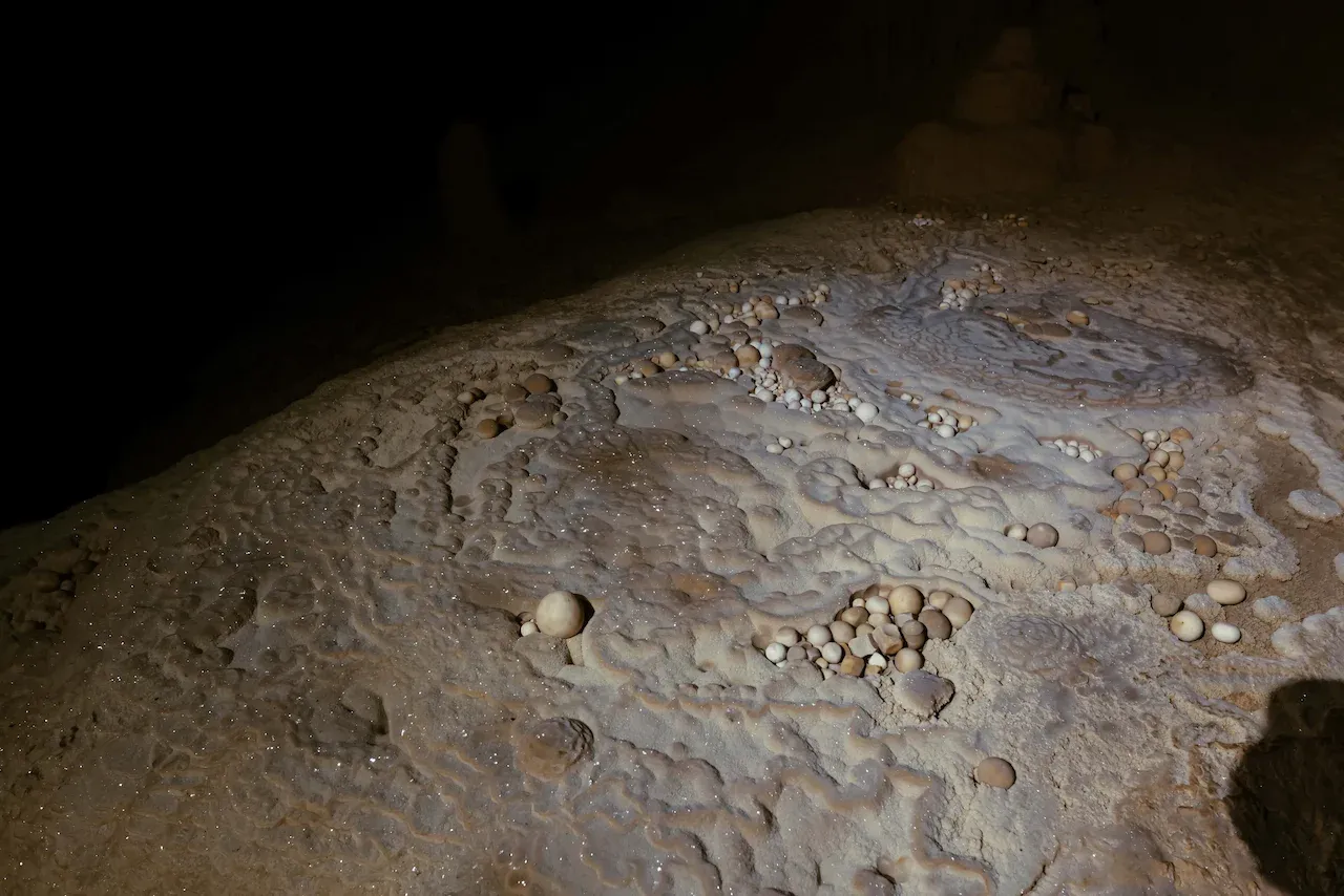 Cave pearls inside the Hang Thoong system