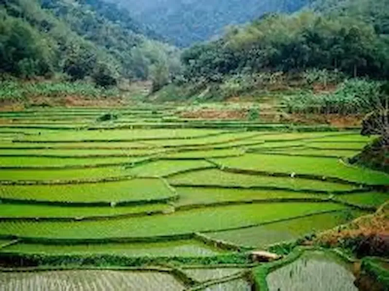 6. Pu Luong Nature Reserve Is a Hidden Gem for Backpackers in Vietnam