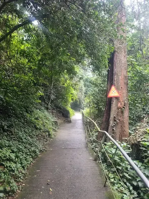 Walking Trail Going to Paradise Cave