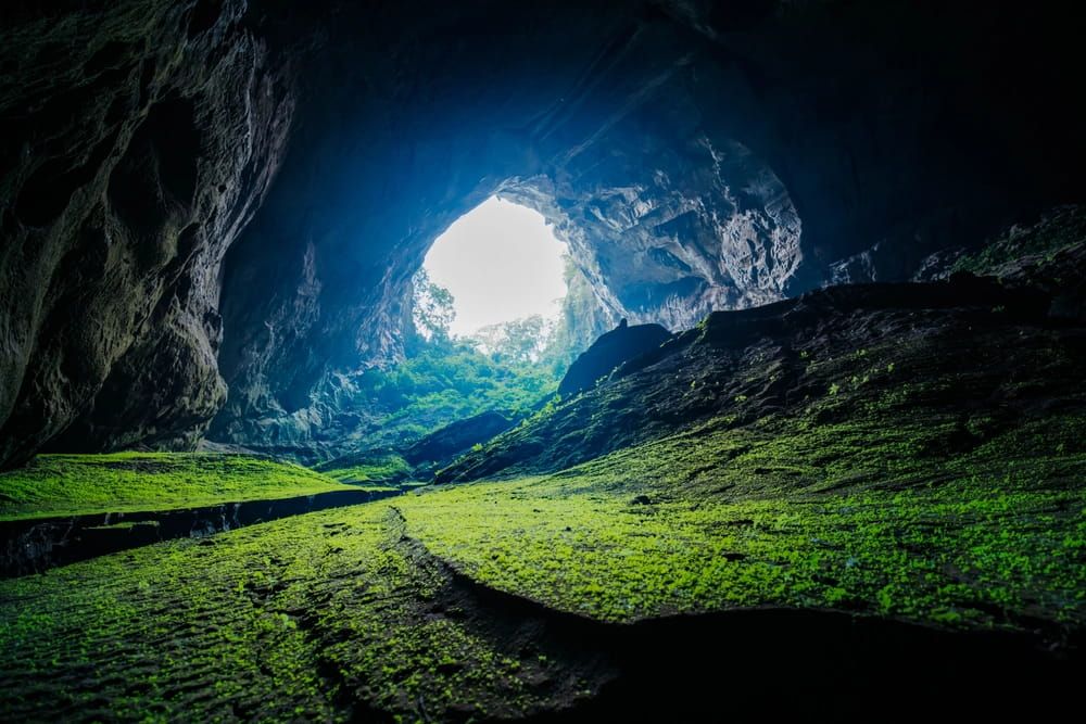 3. Sunlight Streaming Through the Entrance of a Hang Pygmy Cave Covered in Greenery