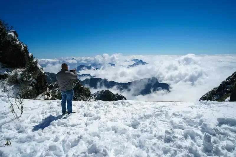 Frost-covered plants and railing at Fansipan summit