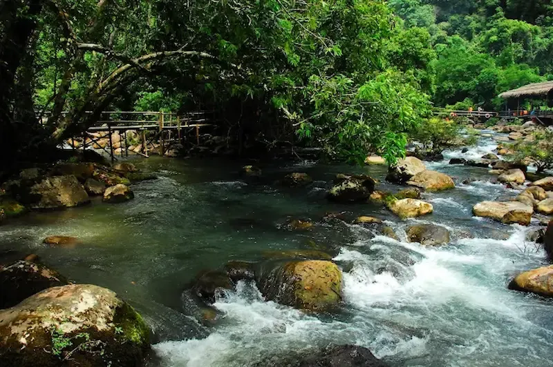 Nuoc Mooc Eco Trail in Phong Nha