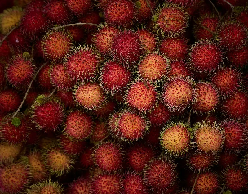 3. Rambutan Can Remind People of Lychee but Has a Slightly Different Taste