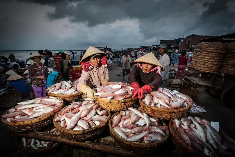 Fish Market of Long Hai, Vietnam