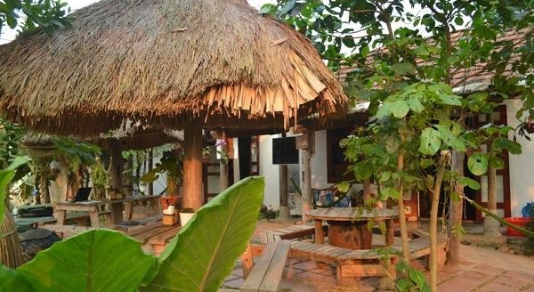 Jungle Boss Homestay Quang Binh