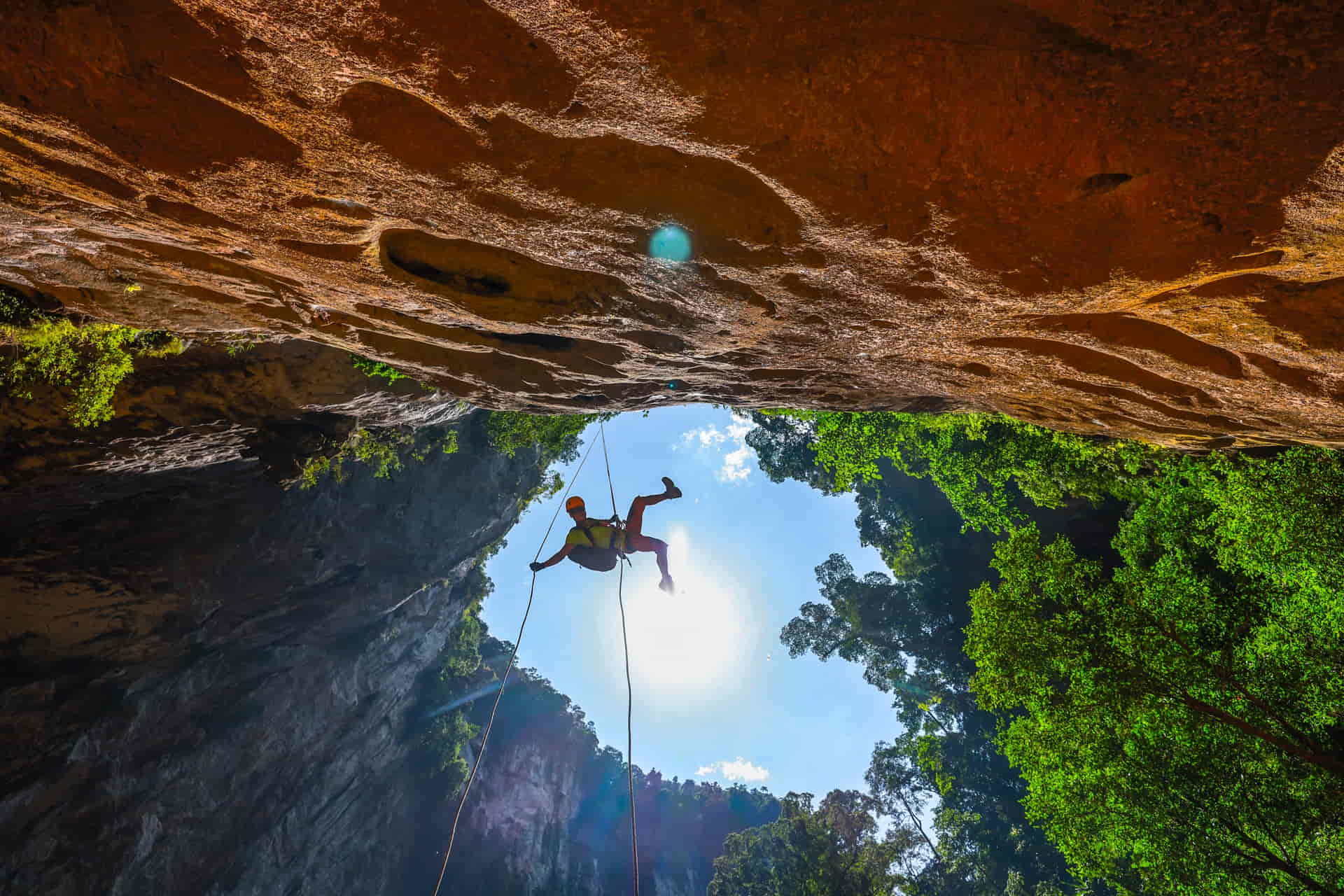 jungle boss a journey of remarkable growth