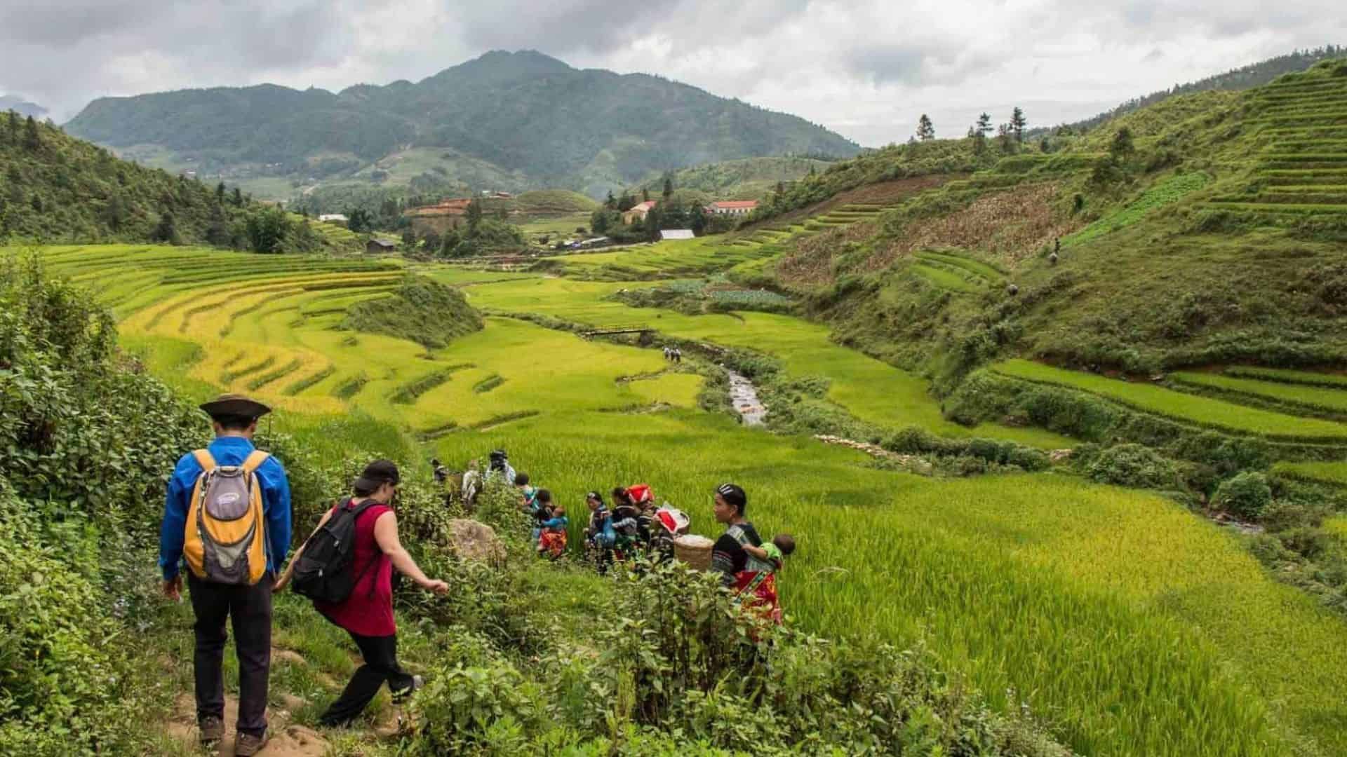 Trekking ở Sapa
