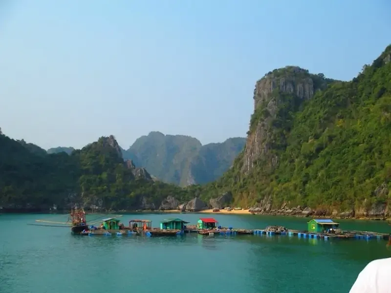 This Floating Village of Halong Looks Pretty Peaceful!