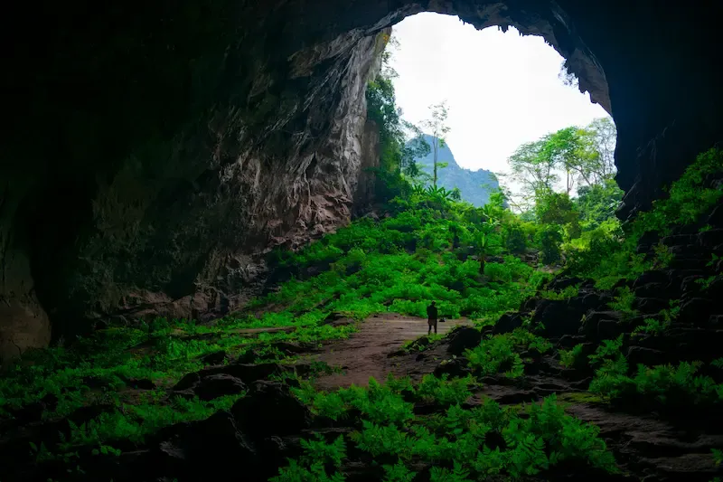 4. Hang Pygmy Cave Tour Is Operated by Jungle Boss Tours in Phong Nha
