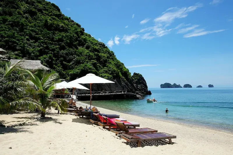 Monkey Island Resort Is Pretty Famous and Not Too Costly Either