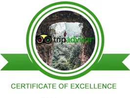 trip advisor certificates of excellence 2021