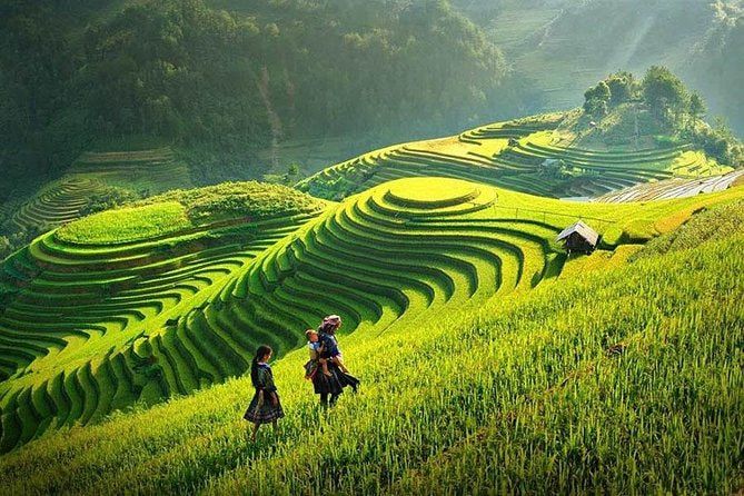 5. Scenic View of Terraced Rice Fields in Sapa, Vietnam, With Two People Dressed in Traditional Clothing Walking Along the Lush Green Slopes Under Soft Sunlight