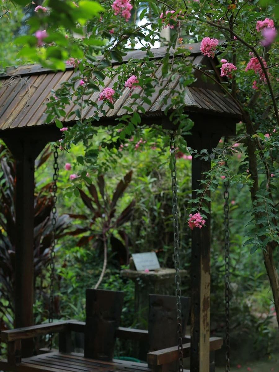 Xích Đu Trong Công Viên Thực Cảnh Việt Nam