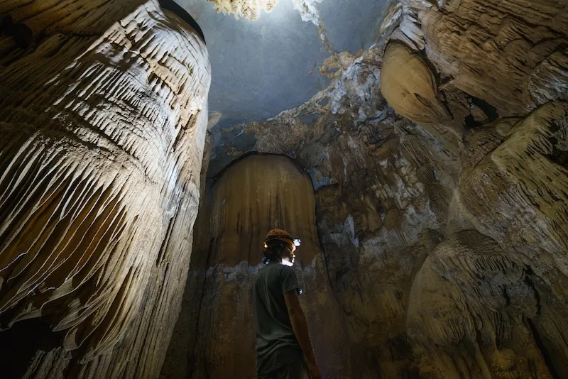 Elephant Cave, Phong Nha