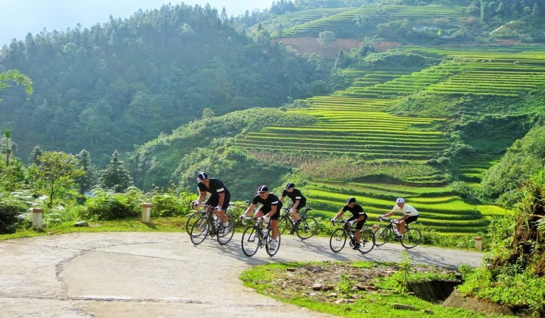 Cyclists Riding Along a Winding Road With Lush Green Terraced Rice Fields and Forested Hills in the Background in Sapa, Vietnam
