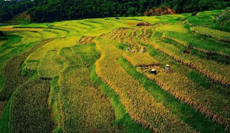 Pu Luong Nature Reserve of Vietnam