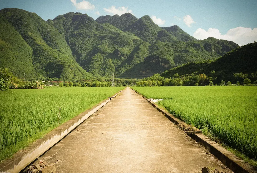 View of a Path Leading to a Village in Mai Chau Valley, Vietnam