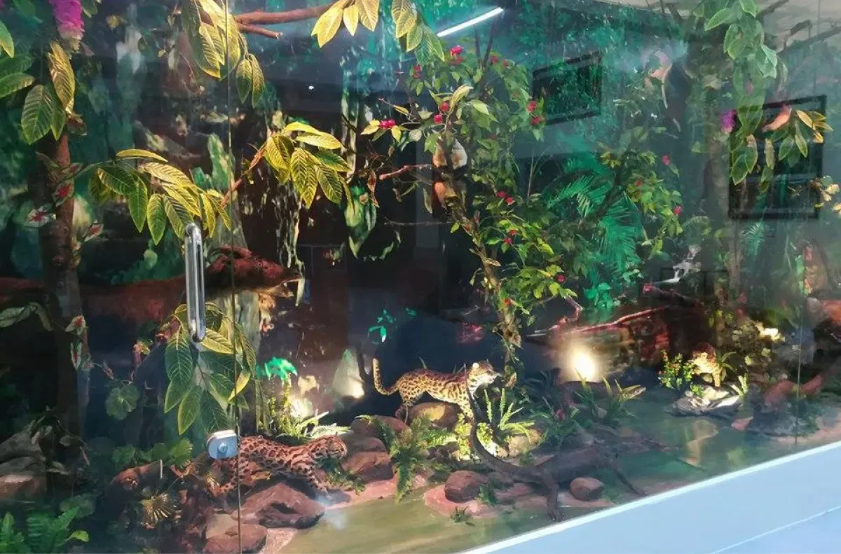 nhà trưng bày mẫu vật trong vườn thực vật