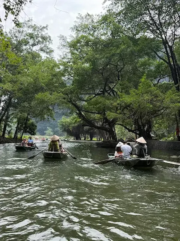 Multiple Boats Passing Through Tree Canopy on Tam Coc Ninh Binh Boat Tour