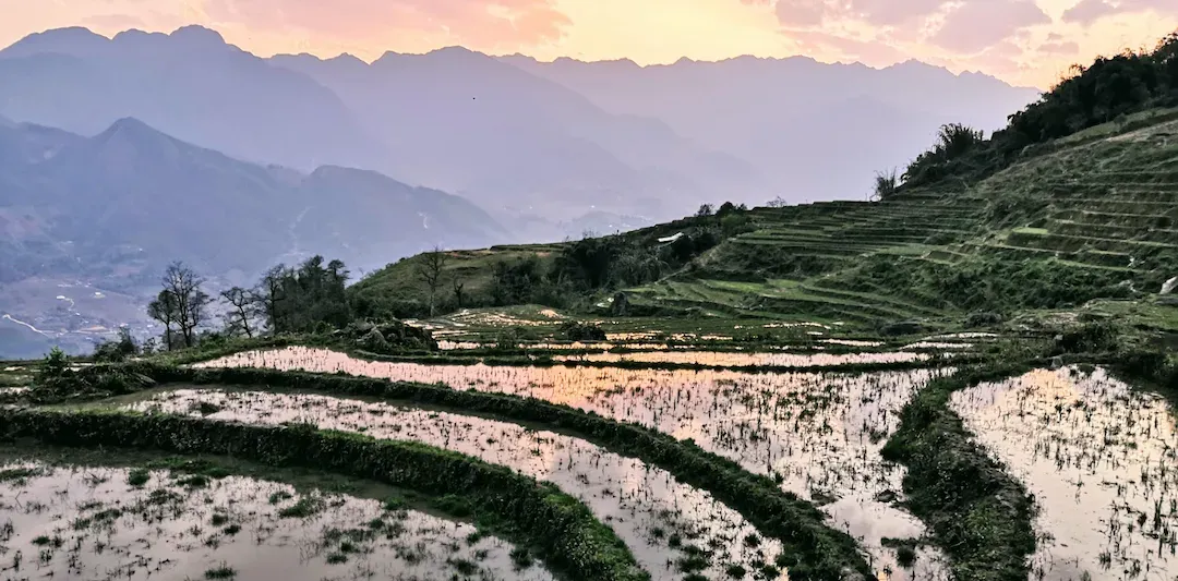 Ricefields of Sapa in Northern Vietnam During Early Morning
