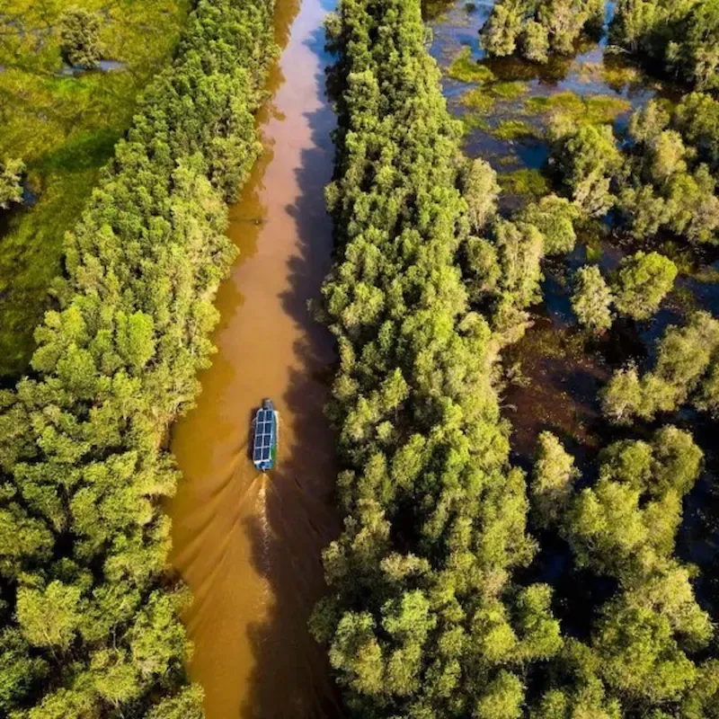 Tram Chim National Park, Vietnam