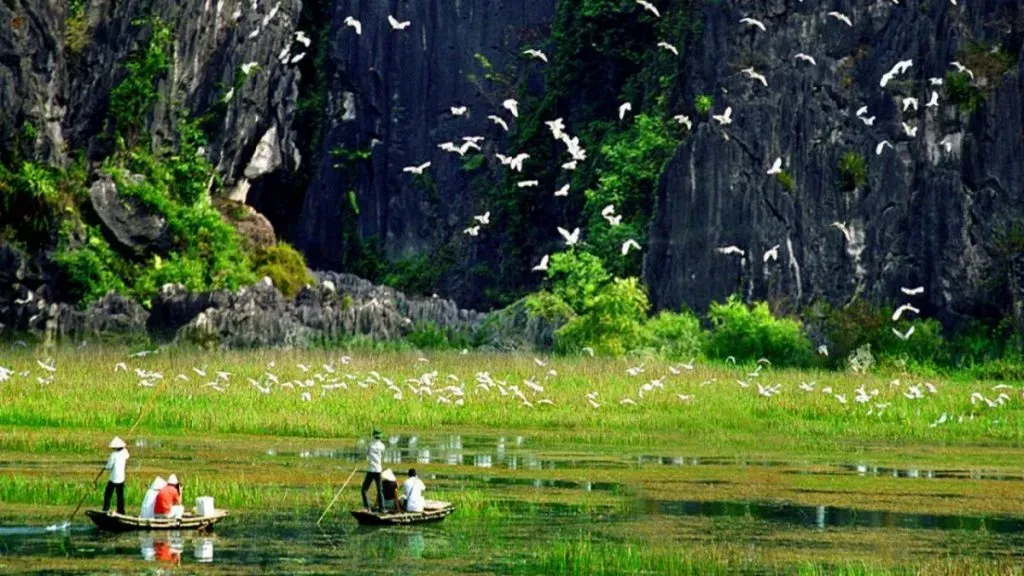 thung nham bird valley ninh binh hidden tour