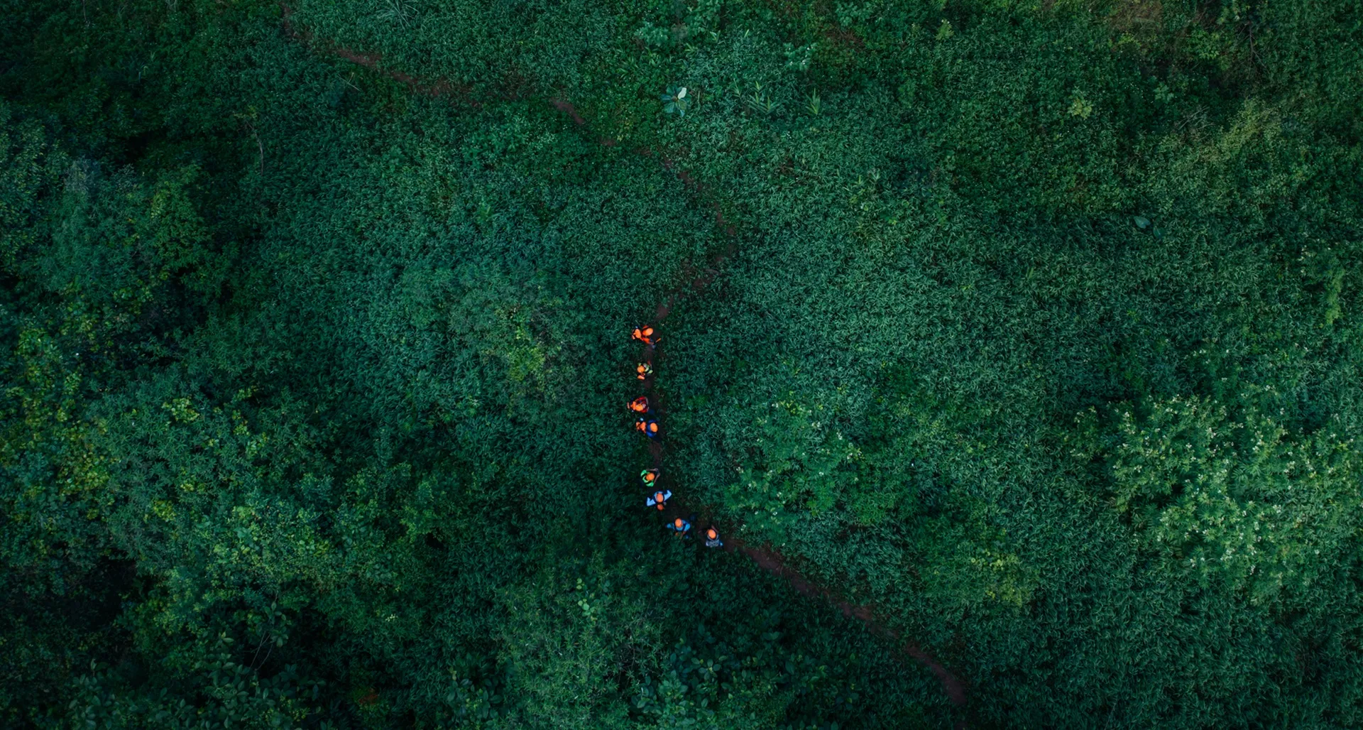 cac tour trekking mien nam khong di la phi