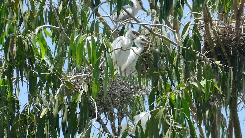 2. Boat Cruises in Tra Su Cajuput Feels Like a Scene out of a Hollywood Movie