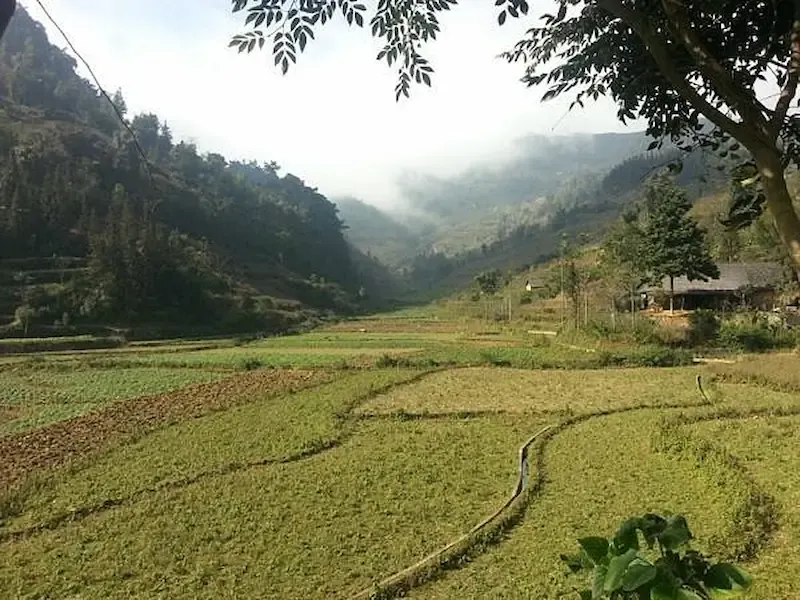 bac ha vietnam travel guide 2026