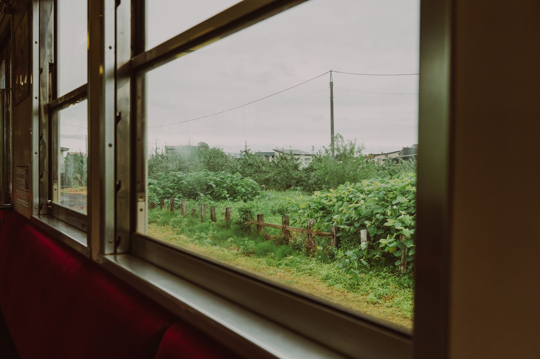 Countryside passing a condensation-covered train window at dawn in Vietnam