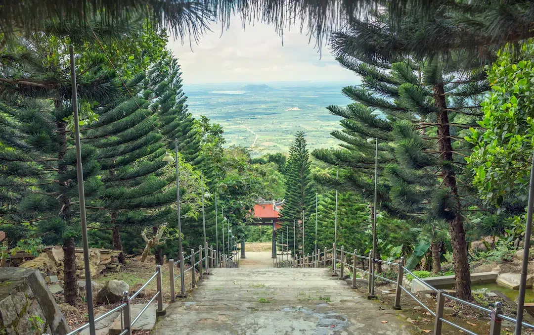 Stone stairs leading through a forest of pine trees with a wide view of the Binh Thuan plains from Ta Cu Mountain