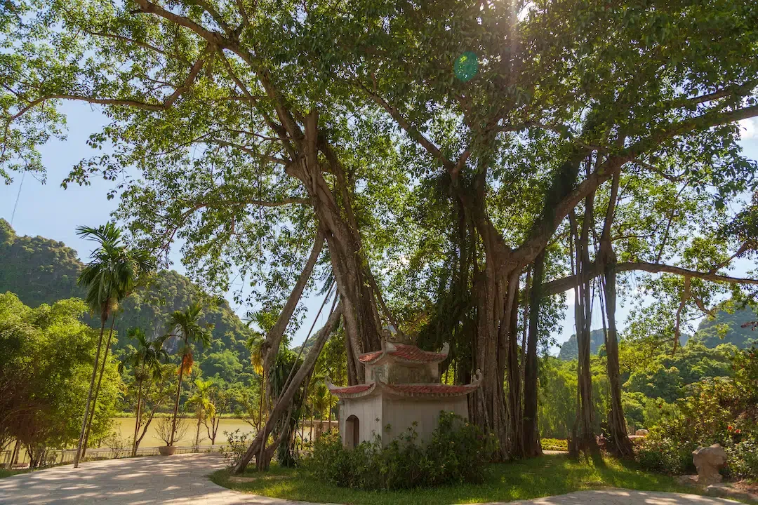 Small traditional Vietnamese shrine nestled under a massive ancient banyan tree at Thung Nham.